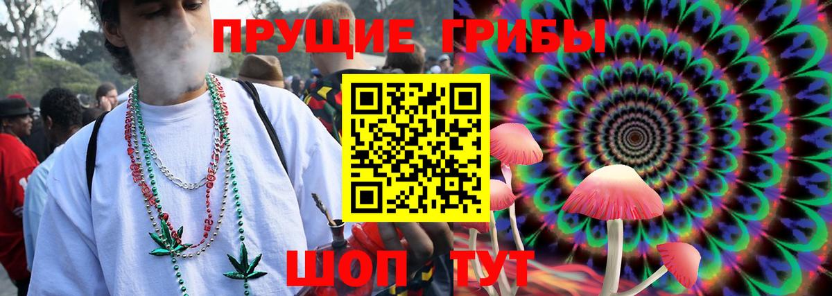 Псилоцибиновые грибы мухоморы  Вход с VPN  Псилоцибиновые грибы Magic Shrooms  Гулькевичи 